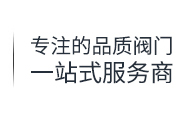 專(zhuān)注的品質(zhì)閥門(mén)—站式服務(wù)商